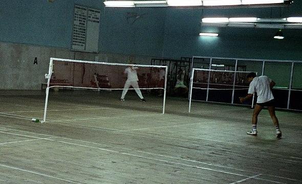 Badminton Pole